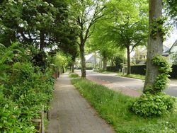 Aerdenhout