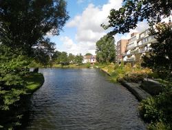 Alkmaar