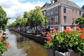 Alkmaar