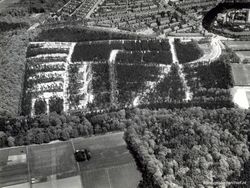 Arnhem