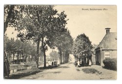 Bakkeveen