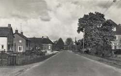 Beneden Leeuwen