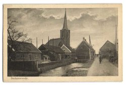 Berkenwoude