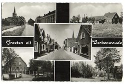 Berkenwoude