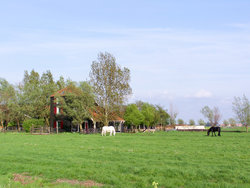 Broek in Waterland