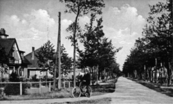 Driebergen