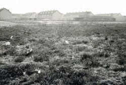 Ermelo