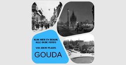 Gouda