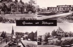 Hillegom