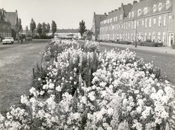 Leeuwarden