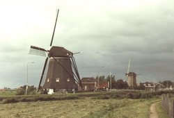 Maasland