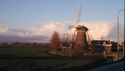 Maasland