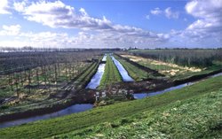 Nieuwerkerk aan den IJssel