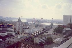 Rotterdam