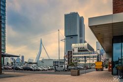 Rotterdam