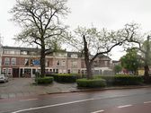 Schiedam