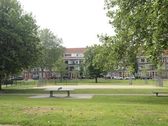 Schiedam