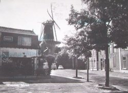 Woerden