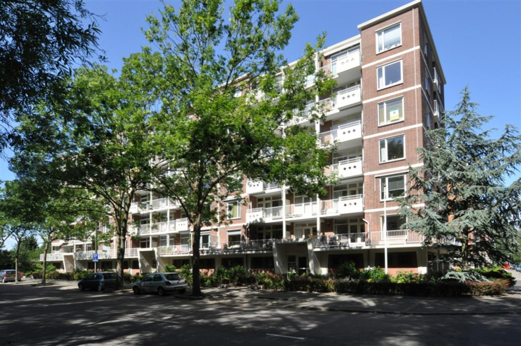 Daal en Bergselaan Den Haag (jaartal: 2010 tot heden) - Foto's SERC