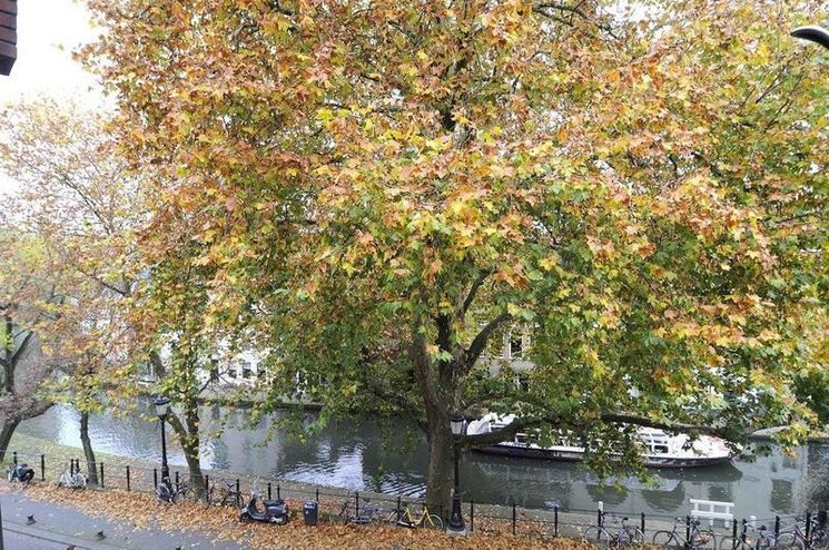 Oudegracht Utrecht Jaartal Tot Heden Foto S Serc